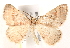  ( - BIOUG18084-G05)  @14 [ ] CreativeCommons - Attribution (2015) CBG Photography Group Centre for Biodiversity Genomics