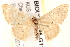  ( - BIOUG18085-G11)  @12 [ ] CreativeCommons - Attribution (2015) CBG Photography Group Centre for Biodiversity Genomics