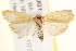  ( - BIOUG18086-A09)  @15 [ ] CreativeCommons - Attribution (2015) CBG Photography Group Centre for Biodiversity Genomics