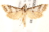  ( - BIOUG18086-F09)  @14 [ ] CreativeCommons - Attribution (2015) CBG Photography Group Centre for Biodiversity Genomics