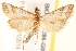  ( - BIOUG18086-G03)  @13 [ ] CreativeCommons - Attribution (2015) CBG Photography Group Centre for Biodiversity Genomics