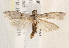  ( - BIOUG18087-D01)  @13 [ ] CreativeCommons - Attribution (2015) CBG Photography Group Centre for Biodiversity Genomics