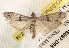  ( - BIOUG18087-D05)  @13 [ ] CreativeCommons - Attribution (2015) CBG Photography Group Centre for Biodiversity Genomics