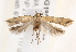  ( - BIOUG18087-D06)  @14 [ ] CreativeCommons - Attribution (2015) CBG Photography Group Centre for Biodiversity Genomics