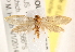  ( - BIOUG18087-D08)  @12 [ ] CreativeCommons - Attribution (2015) CBG Photography Group Centre for Biodiversity Genomics