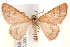  ( - BIOUG18088-C09)  @14 [ ] CreativeCommons - Attribution (2015) CBG Photography Group Centre for Biodiversity Genomics