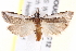  ( - BIOUG18088-C12)  @13 [ ] CreativeCommons - Attribution (2015) CBG Photography Group Centre for Biodiversity Genomics