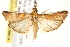  ( - BIOUG18088-E09)  @13 [ ] CreativeCommons - Attribution (2015) CBG Photography Group Centre for Biodiversity Genomics