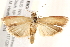  ( - BIOUG18088-E10)  @13 [ ] CreativeCommons - Attribution (2015) CBG Photography Group Centre for Biodiversity Genomics
