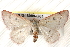  ( - BIOUG18089-G01)  @14 [ ] CreativeCommons - Attribution (2015) CBG Photography Group Centre for Biodiversity Genomics