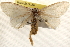  ( - BIOUG18346-H01)  @13 [ ] CreativeCommons - Attribution (2015) CBG Photography Group Centre for Biodiversity Genomics