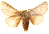  ( - BIOUG18347-D04)  @15 [ ] CreativeCommons - Attribution (2015) CBG Photography Group Centre for Biodiversity Genomics
