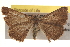  ( - BIOUG18347-G05)  @14 [ ] CreativeCommons - Attribution (2015) CBG Photography Group Centre for Biodiversity Genomics
