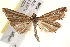  ( - BIOUG18348-F03)  @15 [ ] CreativeCommons - Attribution (2015) CBG Photography Group Centre for Biodiversity Genomics