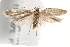  ( - BIOUG18349-B02)  @12 [ ] CreativeCommons - Attribution (2015) CBG Photography Group Centre for Biodiversity Genomics