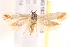  ( - BIOUG18349-B03)  @13 [ ] CreativeCommons - Attribution (2015) CBG Photography Group Centre for Biodiversity Genomics
