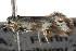  ( - BIOUG18611-D10)  @12 [ ] CreativeCommons - Attribution (2015) CBG Photography Group Centre for Biodiversity Genomics