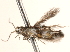  ( - BIOUG18801-A01)  @12 [ ] CreativeCommons - Attribution (2015) CBG Photography Group Centre for Biodiversity Genomics