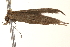  ( - BIOUG18801-A05)  @12 [ ] CreativeCommons - Attribution (2015) CBG Photography Group Centre for Biodiversity Genomics