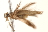  ( - BIOUG18801-C07)  @12 [ ] CreativeCommons - Attribution (2015) CBG Photography Group Centre for Biodiversity Genomics