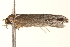  ( - BIOUG18801-C10)  @12 [ ] CreativeCommons - Attribution (2015) CBG Photography Group Centre for Biodiversity Genomics