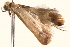  ( - BIOUG18801-G09)  @13 [ ] CreativeCommons - Attribution (2015) CBG Photography Group Centre for Biodiversity Genomics