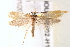  ( - BIOUG18802-H11)  @12 [ ] CreativeCommons - Attribution (2015) CBG Photography Group Centre for Biodiversity Genomics