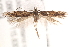  ( - BIOUG18803-H06)  @13 [ ] CreativeCommons - Attribution (2015) CBG Photography Group Centre for Biodiversity Genomics