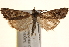  ( - BIOUG18804-B09)  @14 [ ] CreativeCommons - Attribution (2015) CBG Photography Group Centre for Biodiversity Genomics