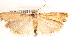 ( - BIOUG19081-B06)  @13 [ ] CreativeCommons - Attribution (2015) CBG Photography Group Centre for Biodiversity Genomics