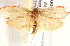  ( - BIOUG19081-C11)  @12 [ ] CreativeCommons - Attribution (2015) CBG Photography Group Centre for Biodiversity Genomics