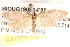  ( - BIOUG19081-F09)  @13 [ ] CreativeCommons - Attribution (2015) CBG Photography Group Centre for Biodiversity Genomics