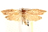  ( - BIOUG19082-G02)  @13 [ ] CreativeCommons - Attribution (2015) CBG Photography Group Centre for Biodiversity Genomics