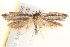  ( - BIOUG19082-H09)  @12 [ ] CreativeCommons - Attribution (2015) CBG Photography Group Centre for Biodiversity Genomics