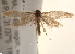  ( - BIOUG19083-F06)  @12 [ ] CreativeCommons - Attribution (2015) CBG Photography Group Centre for Biodiversity Genomics