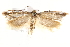  ( - BIOUG19084-B09)  @12 [ ] CreativeCommons - Attribution (2015) CBG Photography Group Centre for Biodiversity Genomics