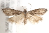  ( - BIOUG19084-C03)  @12 [ ] CreativeCommons - Attribution (2015) CBG Photography Group Centre for Biodiversity Genomics