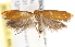  ( - BIOUG19293-B01)  @12 [ ] CreativeCommons - Attribution (2015) CBG Photography Group Centre for Biodiversity Genomics