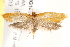  ( - BIOUG19293-D05)  @12 [ ] CreativeCommons - Attribution (2015) CBG Photography Group Centre for Biodiversity Genomics