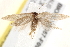  ( - BIOUG19367-F09)  @12 [ ] CreativeCommons - Attribution (2015) CBG Photography Group Centre for Biodiversity Genomics