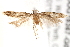 ( - BIOUG19367-G06)  @13 [ ] CreativeCommons - Attribution (2015) CBG Photography Group Centre for Biodiversity Genomics
