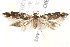  ( - BIOUG19385-A02)  @14 [ ] CreativeCommons - Attribution (2015) CBG Photography Group Centre for Biodiversity Genomics