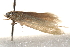  ( - BIOUG19385-F08)  @12 [ ] CreativeCommons - Attribution (2015) CBG Photography Group Centre for Biodiversity Genomics