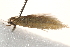  ( - BIOUG19385-G06)  @12 [ ] CreativeCommons - Attribution (2015) CBG Photography Group Centre for Biodiversity Genomics