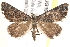  ( - BIOUG19451-A02)  @13 [ ] CreativeCommons - Attribution (2015) CBG Photography Group Centre for Biodiversity Genomics