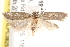  ( - BIOUG19451-C04)  @13 [ ] CreativeCommons - Attribution (2015) CBG Photography Group Centre for Biodiversity Genomics