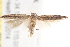  ( - BIOUG19452-B06)  @12 [ ] CreativeCommons - Attribution (2015) CBG Photography Group Centre for Biodiversity Genomics