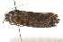  ( - BIOUG19527-D12)  @13 [ ] CreativeCommons - Attribution (2015) CBG Photography Group Centre for Biodiversity Genomics