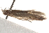  ( - BIOUG19453-B04)  @13 [ ] CreativeCommons - Attribution (2015) CBG Photography Group Centre for Biodiversity Genomics