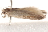  ( - BIOUG19453-C06)  @13 [ ] CreativeCommons - Attribution (2015) CBG Photography Group Centre for Biodiversity Genomics